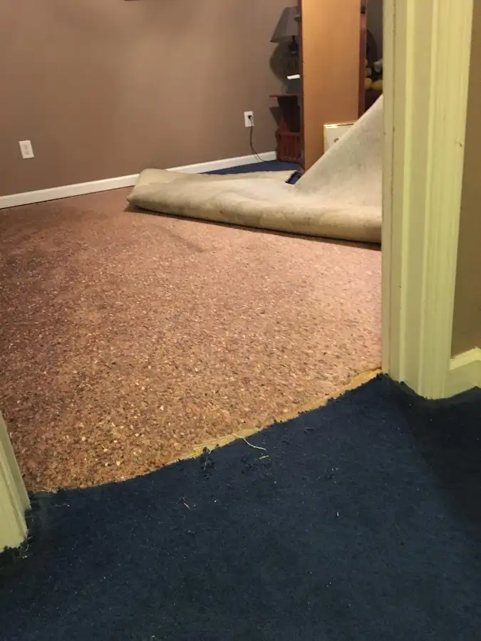 Carpet pad removal revealing water damage during Drying & Dehumidification in Cherokee Village