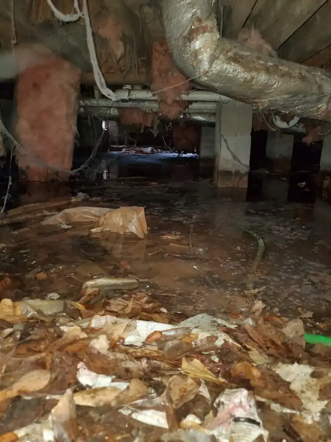 Crawl space flood assessment for Commercial Water Damage Restoration in Cherokee Village